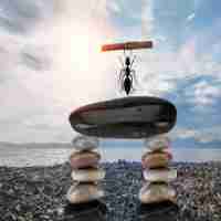 精‌准‌数‍据​备‍份‌系‍统‌怎​么‌用﻿